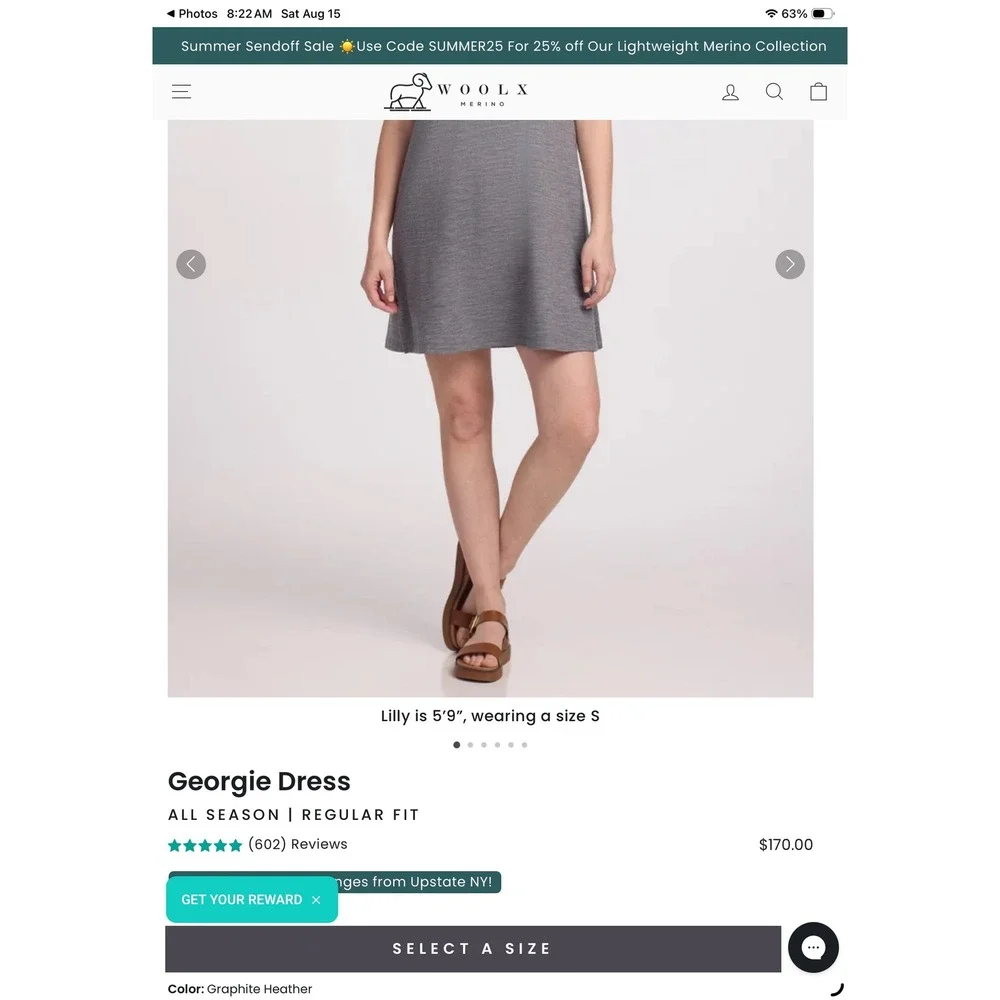Woolx Georgie Merino Wool Dress Small Gray A-Line Pocket T-Shirt  Hiking Travel